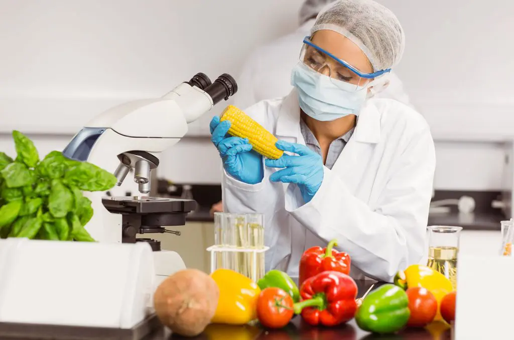 Food-Safety-Testing