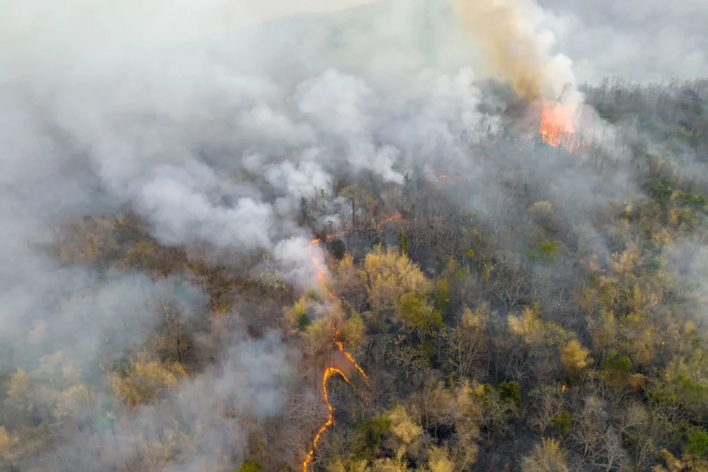 ISO 14064 INTERNATIONAL STANDARD FOR GREENHOUSE GAS (GHG) ACCOUNTING, MITIGATION, AUDIT AND REPORTING TRAINING