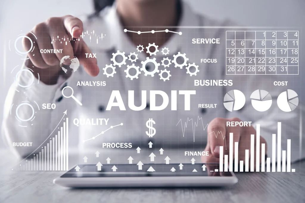 SUPPLIER AUDITS -CQI 19